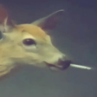Aleさんのプロフィール画像