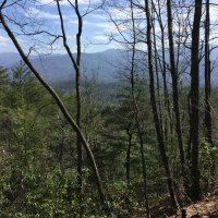 Crypto Geek (@cryptogeek66719) 's Twitter Profile