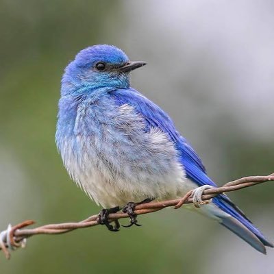 famas256's profile picture. 🇸🇲GeoGuessr🇸🇲 　虫への殺意が高い人
本体@f4nnqs