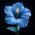 Flowers Hub (@flowershub420) Twitter profile photo Flowers Hub (@flowershub420) Twitter profile photo
