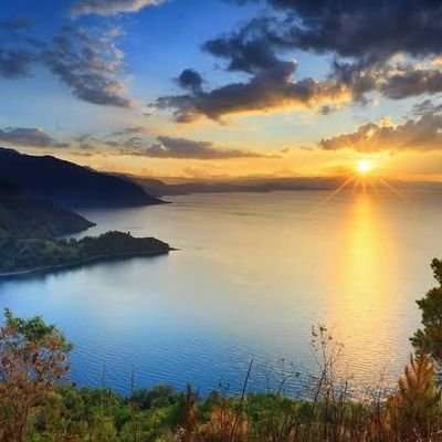 penebar_pesan's profile picture. 