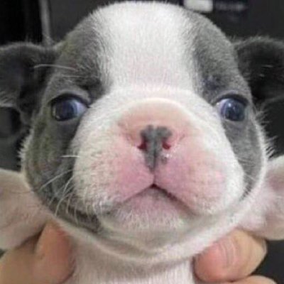 GNGJ_K's profile picture. Move on, forget this account exists.