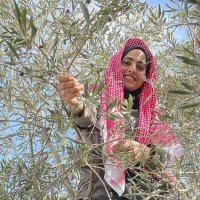 شهد نبيل 🇵🇸 Shahad Nabil (@shhdnbyl56188) 's Twitter Profile Photo شهد نبيل 🇵🇸 Shahad Nabil (@shhdnbyl56188) 's Twitter Profile Photo