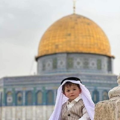 Pakistani🇵🇰 ||Nation builder✒✒||Mathematician 📐📏||Love Palestine 🇵🇸||