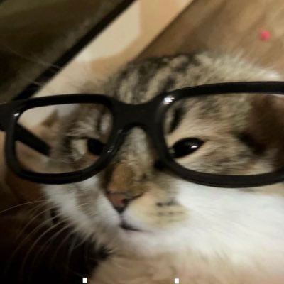 cgtoled0's profile picture. 🇧🇷