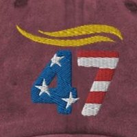 🟦🇺🇸🇳🇮AlaskanGr8Grandma (@charlaneso52814) 's Twitter Profile