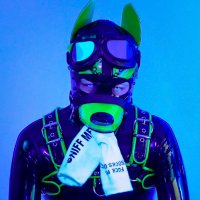 Pup Junkers 🧶🚙 (@pupjunkers) 's Twitter Profile Photo