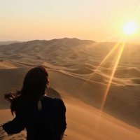 س ك صفر (@ms_safar_) 's Twitter Profile