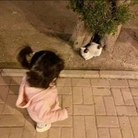 د/حُنَيْن مُخْتَار🩺 (@haneenmokhtar97) 's Twitter Profile