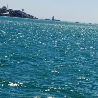 BEŞİKTAŞLİM (@111112222l) Twitter profile photo