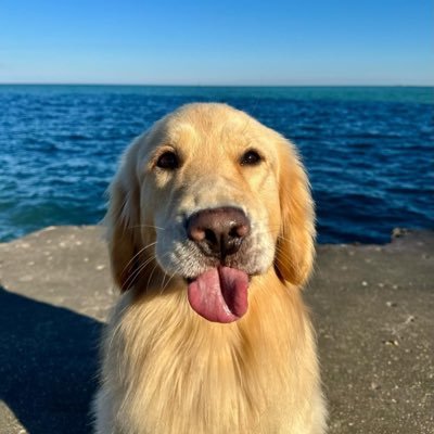 Juliansuxxx's profile picture. 😼 whats up gamers