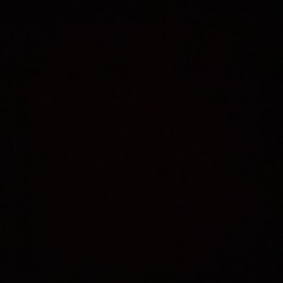 moa_the_bug's profile picture.