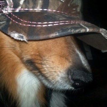 holidaygirl1229's profile picture. she