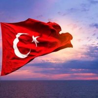 AHMET (@traddeer) Twitter profile photo