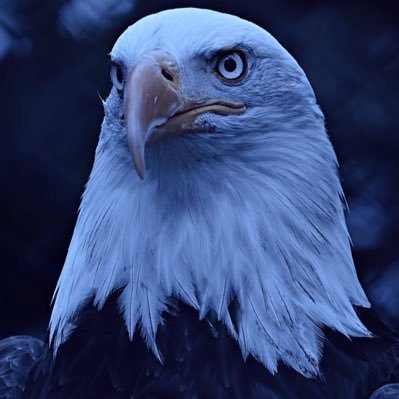 ZeKingTrader's profile picture. #BTC #ETH ~ MORE | Semi Retired Trader | CEO & Founder of Alligator Crypto Capital (𝐀𝟐𝐂) | Technical Analyst | SPOT & FUTURES Trader |#DeFi #NFT 🔺