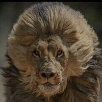 Collin Morgan (@ggets47) 's Twitter Profile