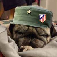 Andrés. (@andrajos_) 's Twitter Profile