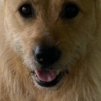 Josko17 (@josko172) 's Twitter Profile