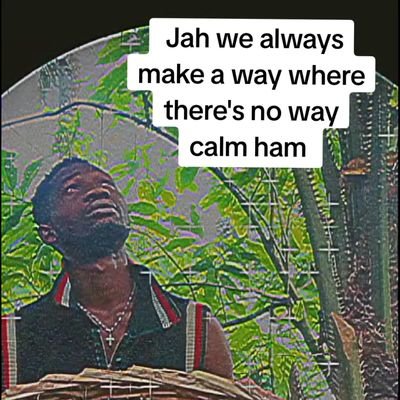 Dealermhi243's profile picture. 