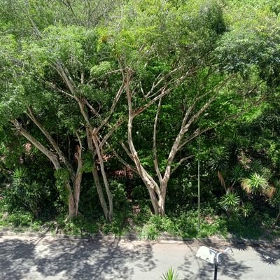 lcontrerasvill1's profile picture. Venezolano en Venezuela