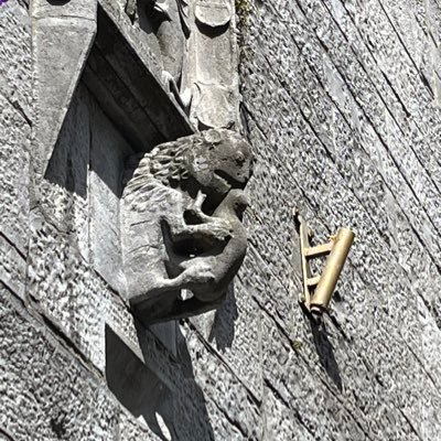 grownuppunk's profile picture. Back in New England where I belong. All dogs are good dogs. Travel, hockey, video games, bourbon, punk & indie. I block those I find tiresome.