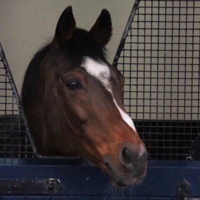 old gallop girl retired in the free state of Florida, love Irish & UK racing. Photo credit? Galileo 👆Ballydoyle at Keeneland 🤔 45-47 💪🇺🇸