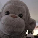 Sandra Leahy - @TheSandraa - Twitter