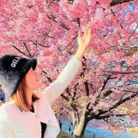 桜ちゃんご購入感謝です (@sagotrang) Twitter profile photo