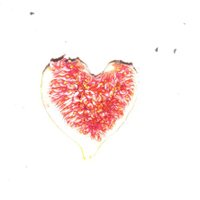 ʟᴏᴠᴇ𝟥𝟦ᴘᴇʀᴜᴋ #ACAB (@love34peruk) 's Twitter Profile Photo