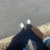 -Miles- Elahee (@itsjistmiles) Twitter profile photo -Miles- Elahee (@itsjistmiles) Twitter profile photo