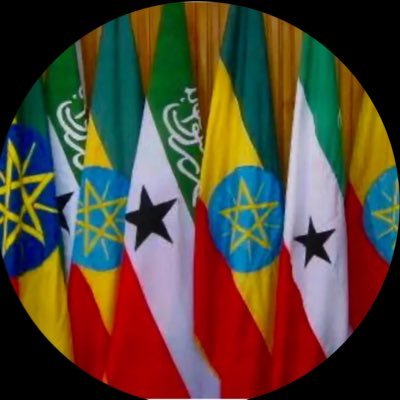 Abdalla165886's profile picture. 