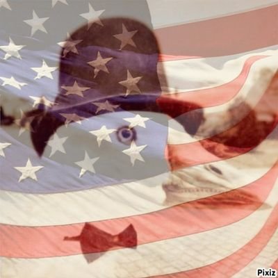 The dapperest of ducks.
I mock and I know things.
QAnon analysis featured in Vice, Newsweek, Daily Mail, CBS News.
Find me on Bluesky & Mastodon (@journa.host)