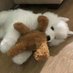 Sachiko咩 (@sleepy_dog0) Twitter profile photo Sachiko咩 (@sleepy_dog0) Twitter profile photo