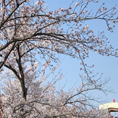 キャロカゼさんのプロフィール画像