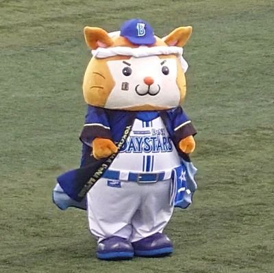 ayashamrock's profile picture. ベイスターズ大好きです。マスコットたちも大好きです。今は東京在住なのでビジターも多いです。旦那さんは楽天ファンなのでパ・リーグは楽天推しです！エスコン最高でした！実家🐶の一代目はシェルティー、二代目はミニチュアダックスフンド。ワンコ🐶や猫ちゃんも大好きです。無言フォロー失礼しますm(__)m