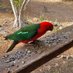 David Ward (@ruralviewau) Twitter profile photo David Ward (@ruralviewau) Twitter profile photo