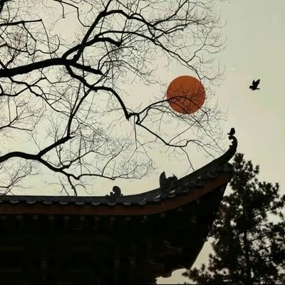 liyn291583's profile picture. 