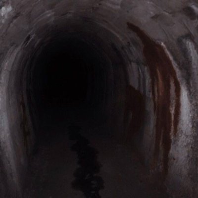 pedrindripgg's profile picture. 