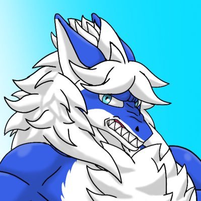 sharkolfさんのプロフィール画像