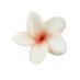 ✮⋆˙ (@08uaa) Twitter profile photo ✮⋆˙ (@08uaa) Twitter profile photo