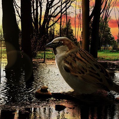 Auteur-compositeur // 🎤 Petit Moineau (@petitmoineauOFF)
🖊️eBook écriture de paroles: https://t.co/9D6s1pEcSb
Co-auteur Chroniques d'une joueuse de poker