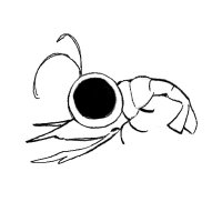 🦐 (thesis cramp) (@eun3unpk) 's Twitter Profile Photo