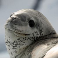 JaYo88 (@jamesyo88) 's Twitter Profile