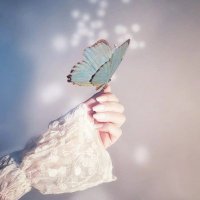🦋 (@leakurdish) Twitter profile photo