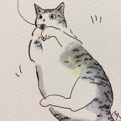 まこと🐈️🐈️ねこ描くさんのプロフィール画像