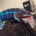 True Tech Air (@truetech_hvac) Twitter profile photo True Tech Air (@truetech_hvac) Twitter profile photo