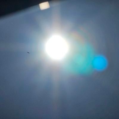 out4aStroll's profile picture. i just like looking at art, both sfw and nsfw 🔞 | 30 | ♌️