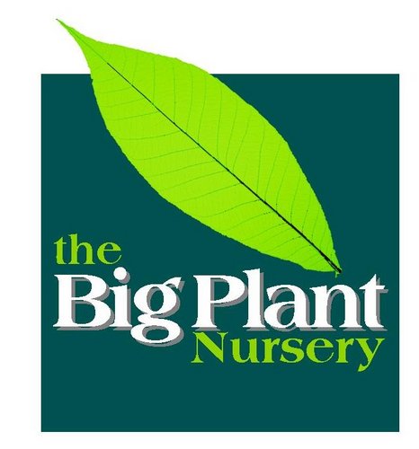 The Big Plant Nursery