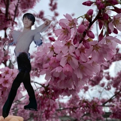 kumiki_0125's profile picture. Everything Start Begin I want to be normal and simple in the world