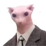pogideveloper's profile picture. Game Developer from virginia
scripting, ui design.
please dm my discord for collaborations